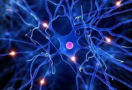 某細胞生命科學行業(yè)